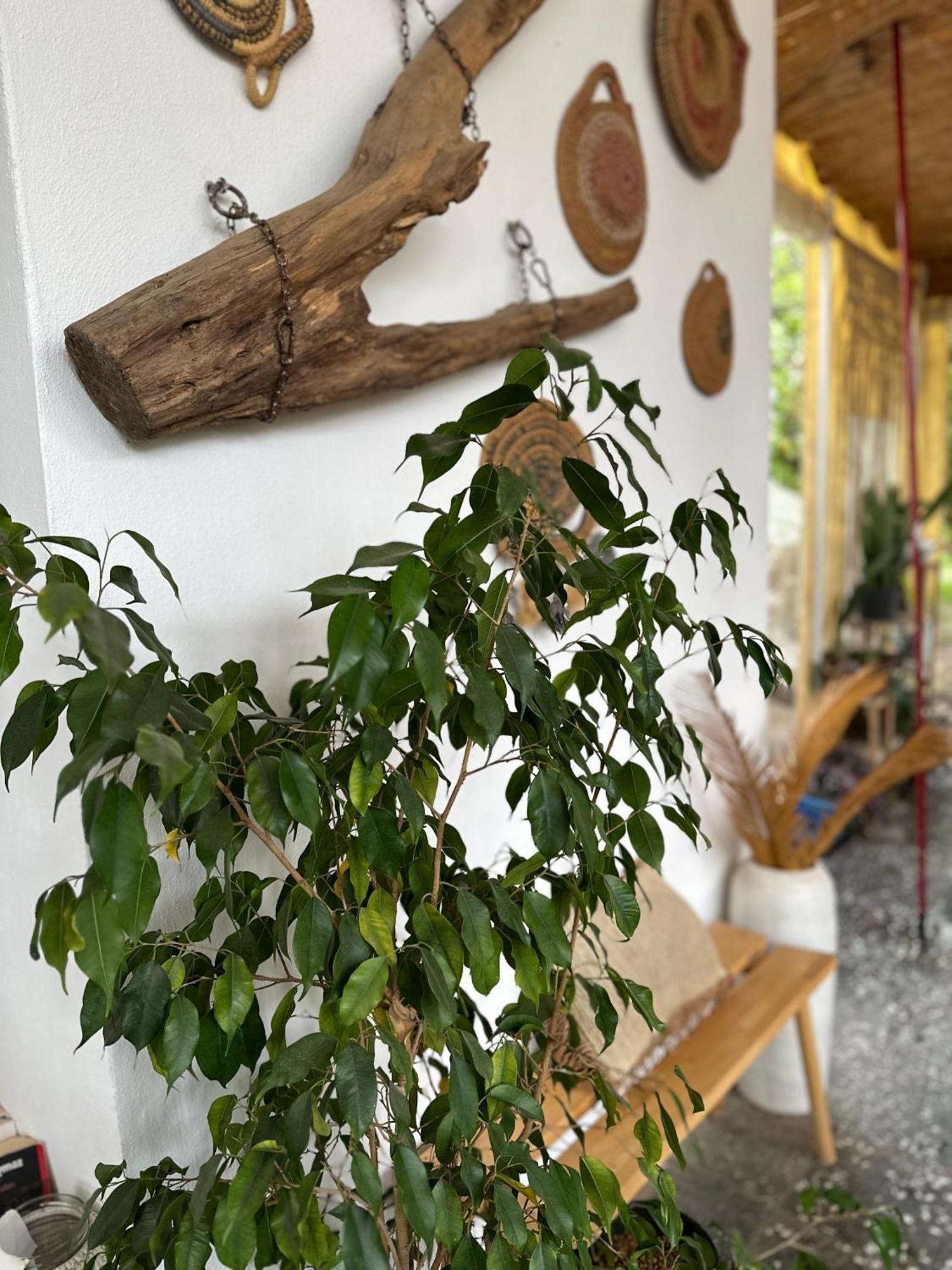 L'Onda Oda Bodrum Bagian luar foto