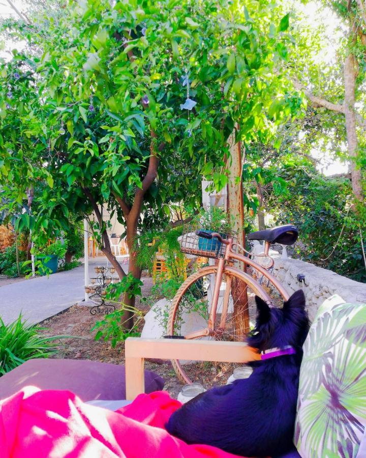 L'Onda Oda Bodrum Bagian luar foto
